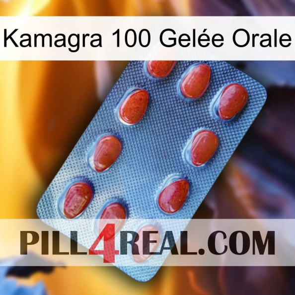 Kamagra 100 Gelée Orale 06